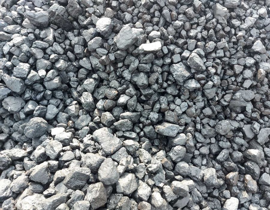 Węgiel orzech Polski Staszica