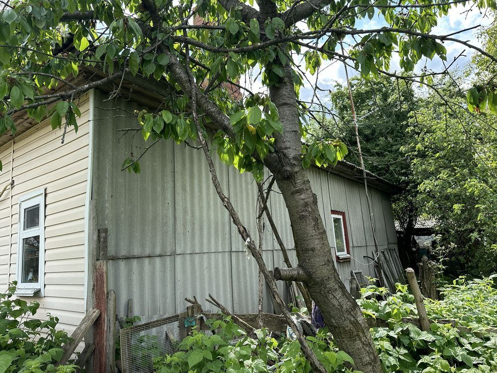 Продається будинок в с. Олишівка