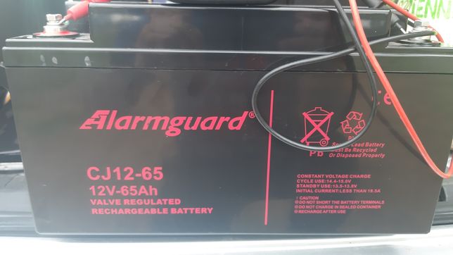 Akumulator żelowy Alarmguard 12V 65Ah CJ 12-65