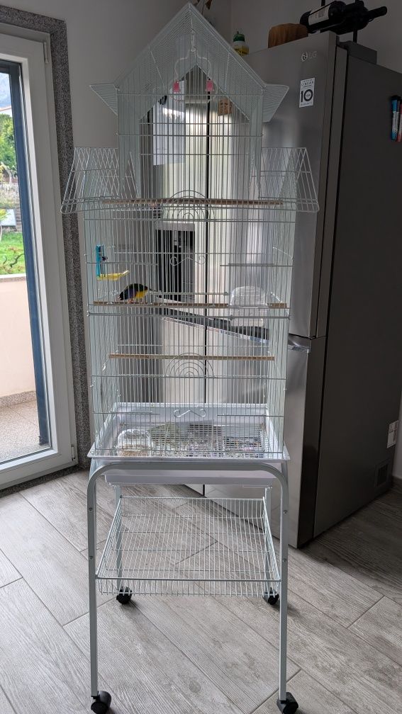 Diamante Gould com gaiola