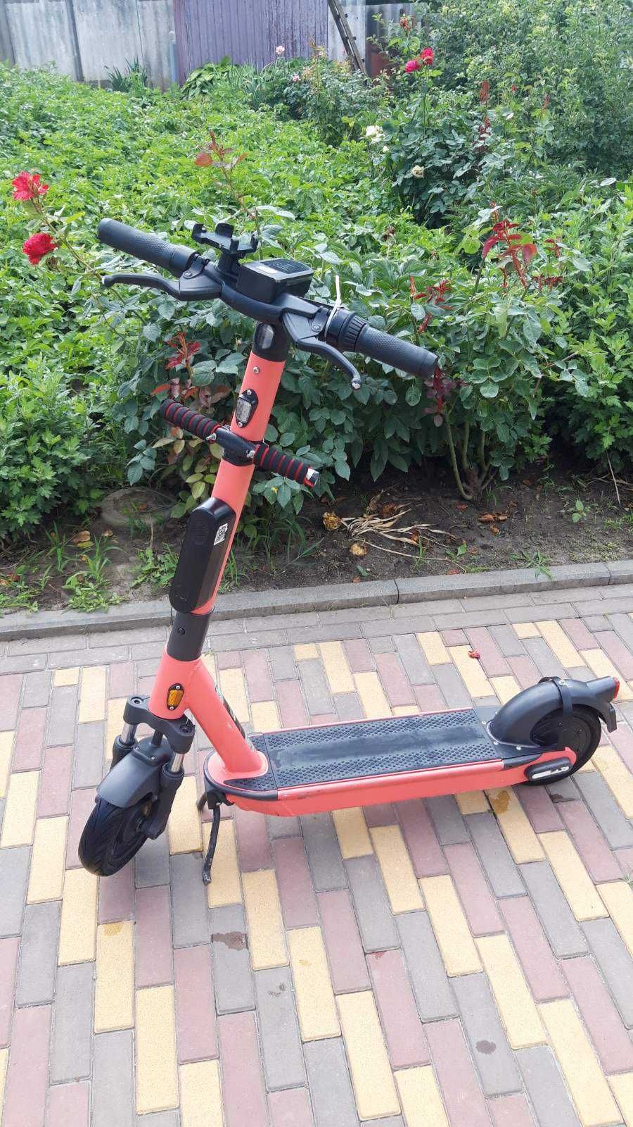 Segway Ninebot max g30 voi