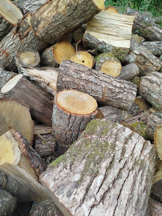 Drewno opałowe dąb