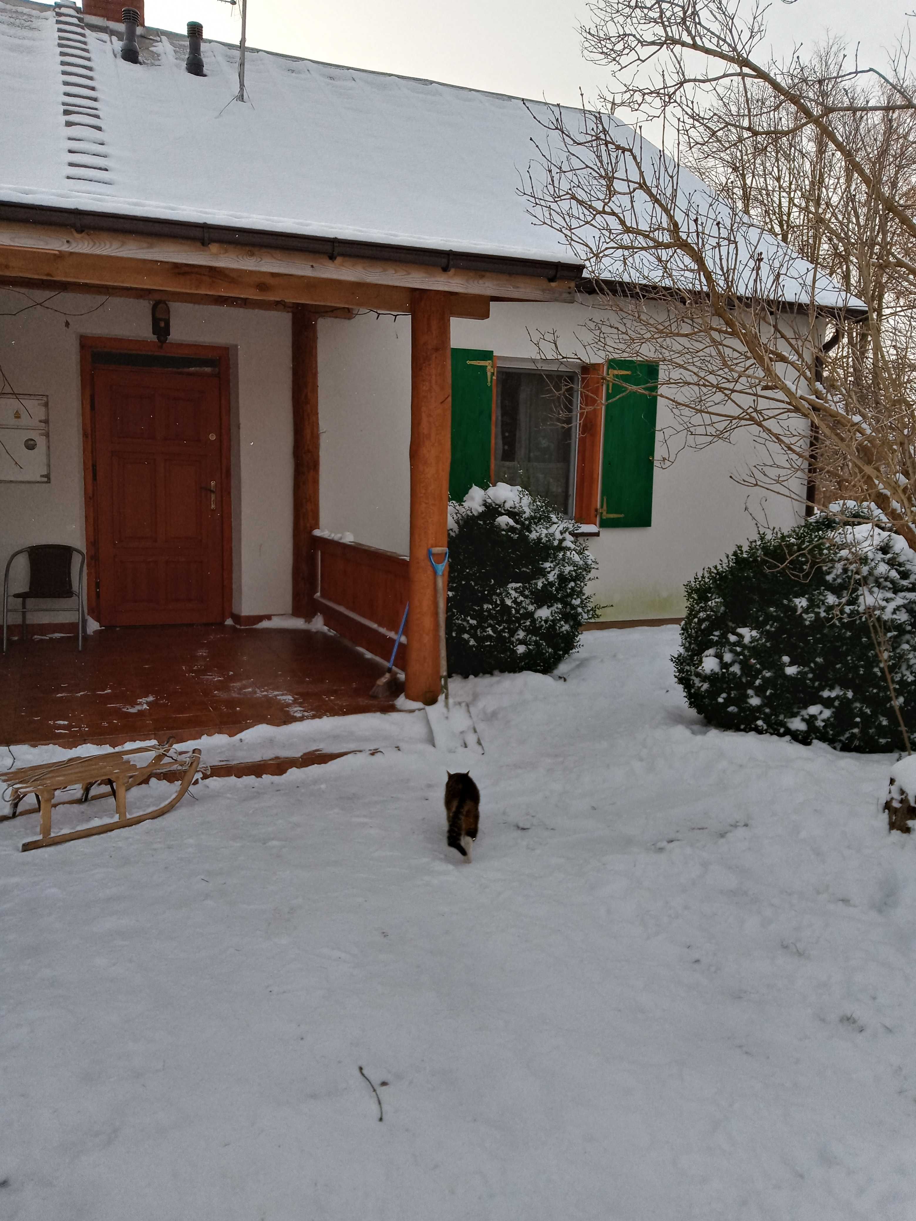 Agroturystyka Domek Babci, całoroczny dom, 16 km do Pułtuska,