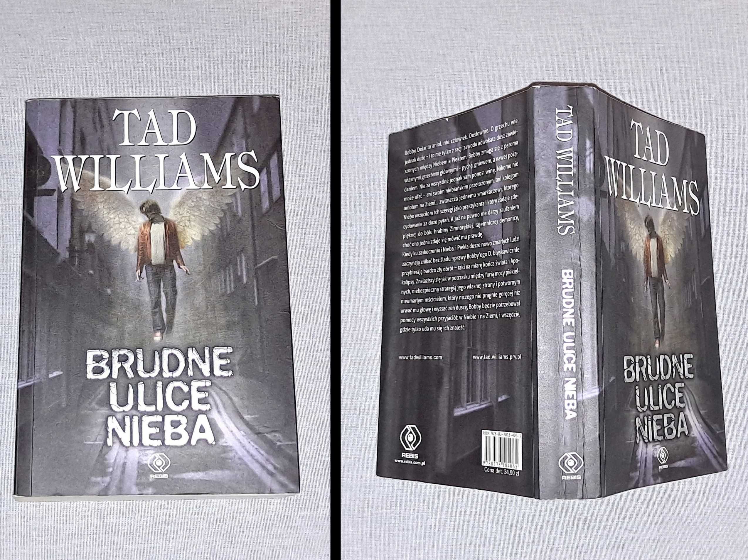 książka - "Brudne ulice Nieba" Tad Williams - 2014 r. - uzywana