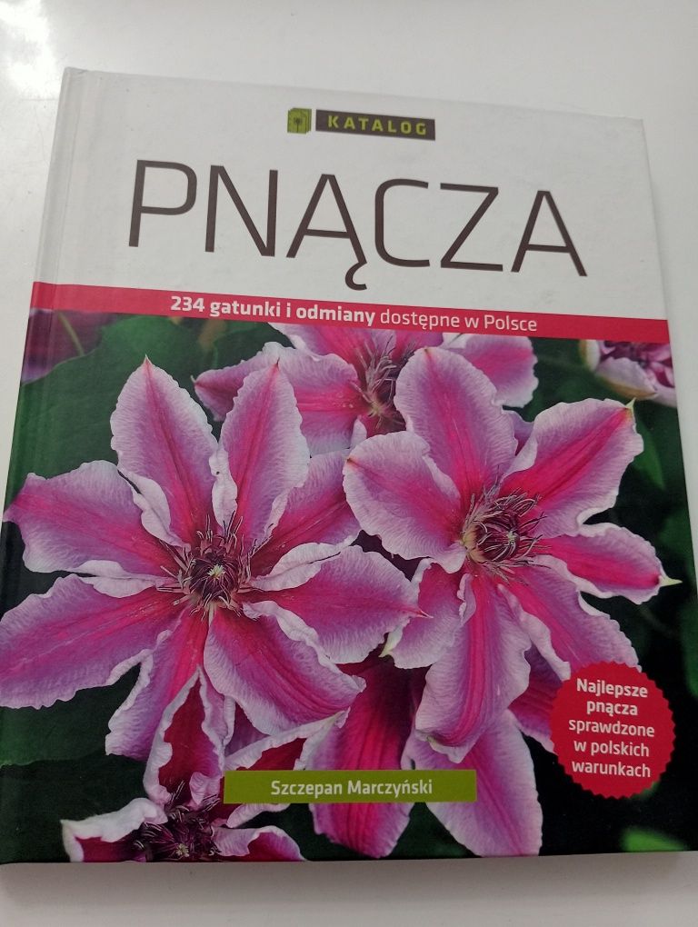 Pnącza Szczepan Marczyński