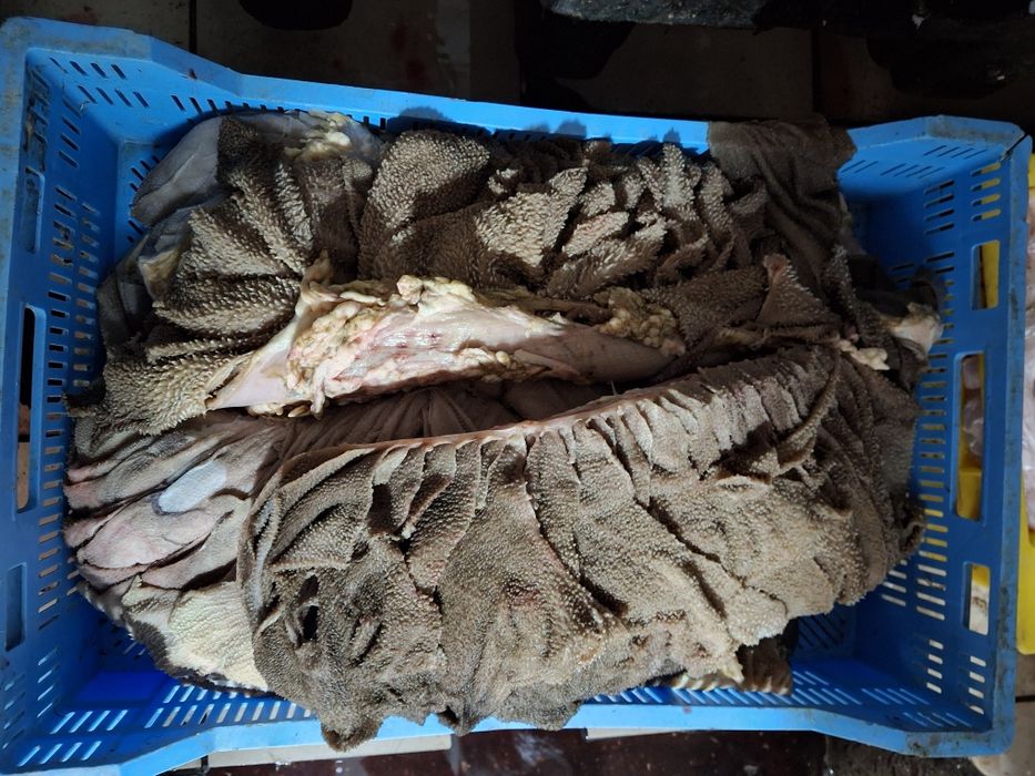 Корм фарш для собак