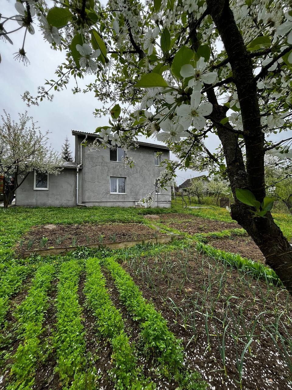 Продається будинок поблизу міста