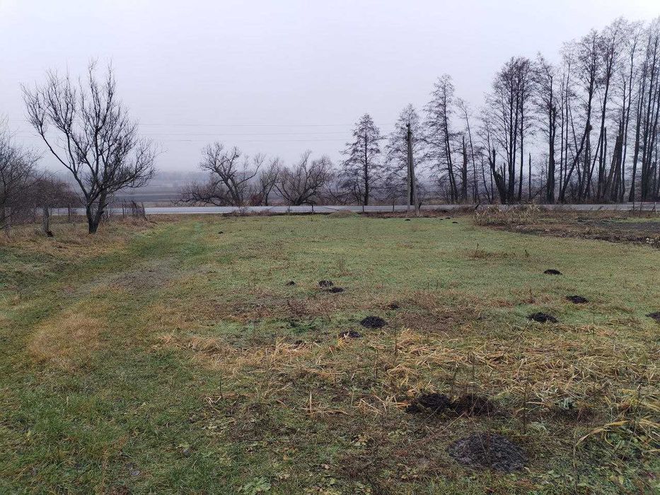 Продаж ділянки 10,63 соток (ОСГ). Зручний виїзд на трасу. ID:662