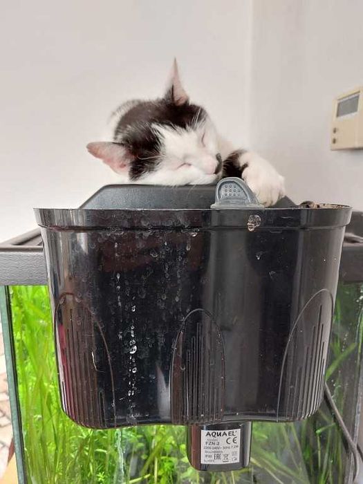 Sprzedam akwarium 112 l (80x35x40)