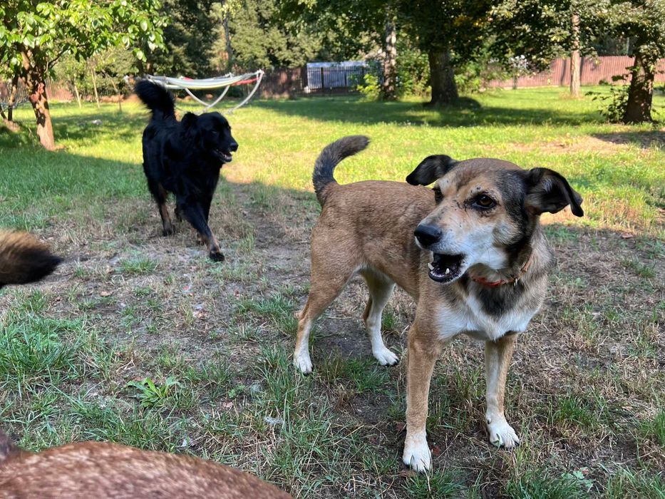 Ona i On,  żyć bez siebie nie mogą. Szukamy wspólnego domu