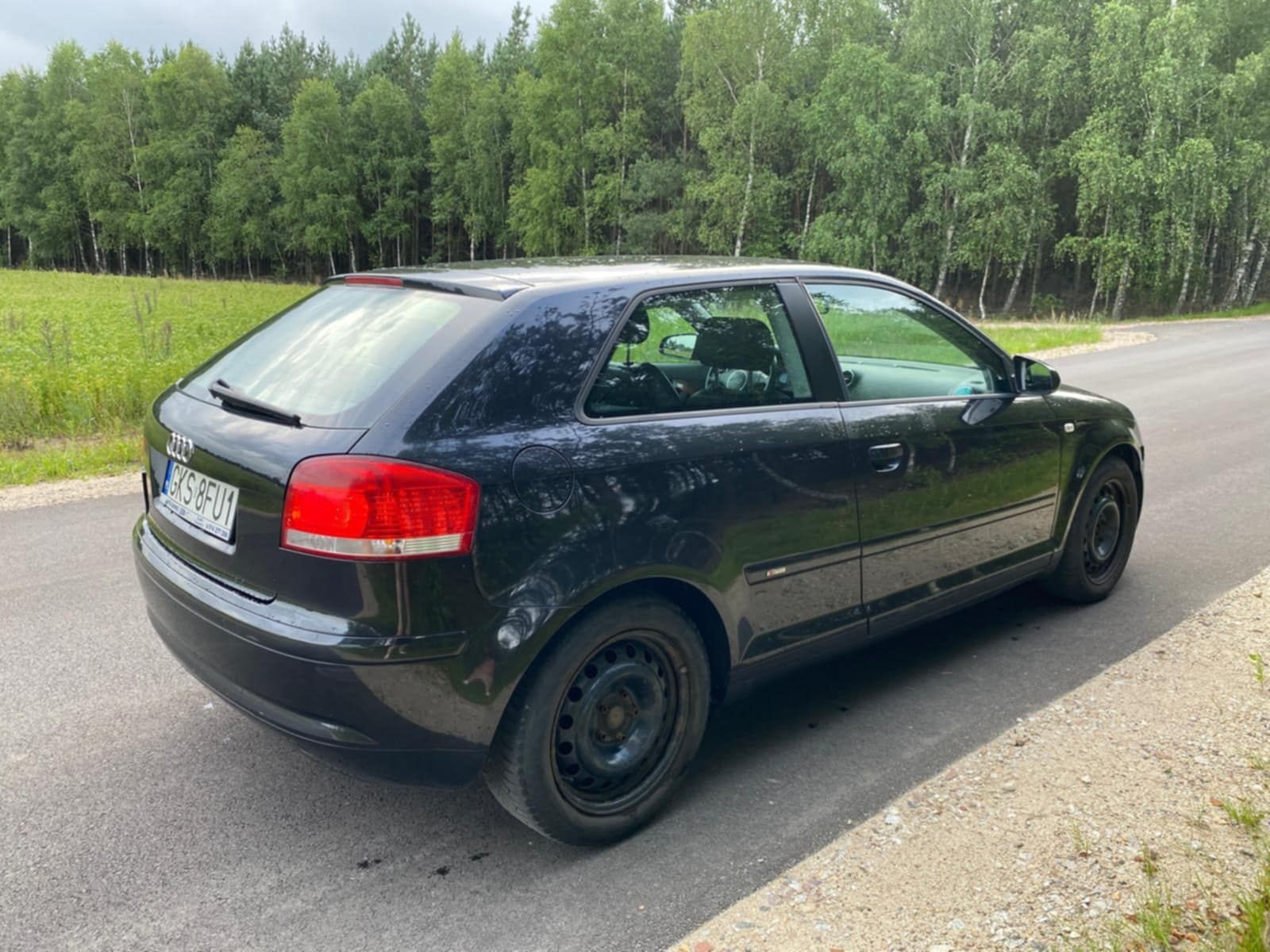 Audi a3 8P 1.9 Tdi