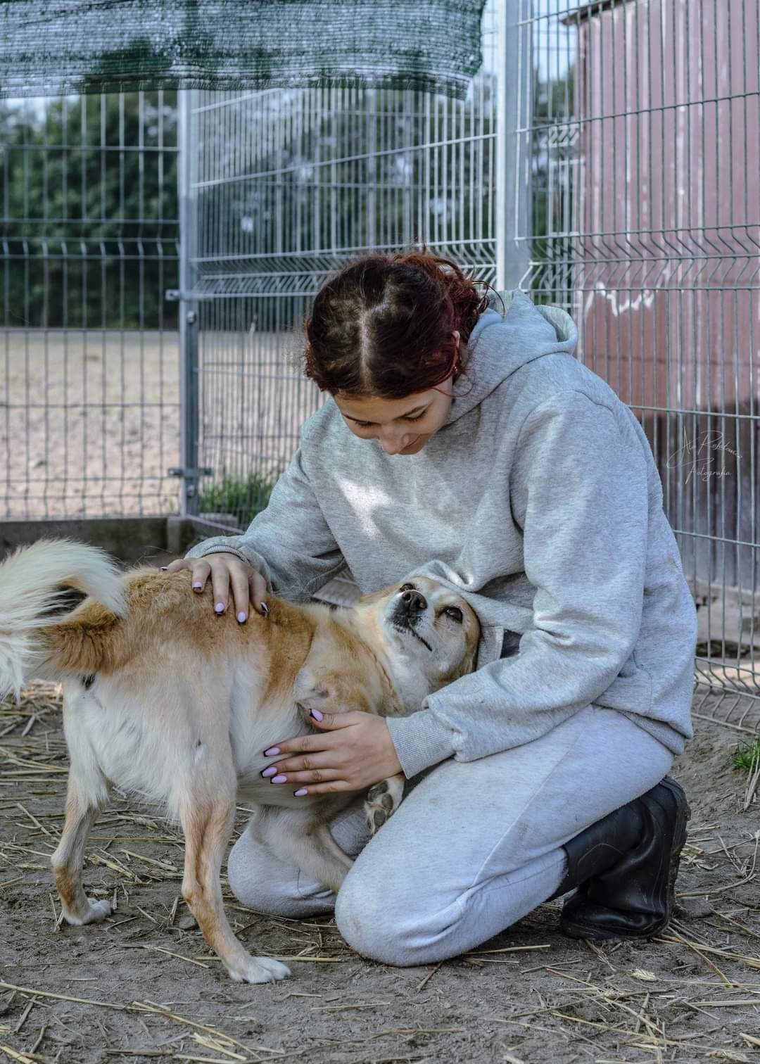 Czesio stracił swojego ukochanego właściciela... Dasz mu dom!