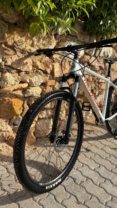 Bicicleta Megamo natural elite 15