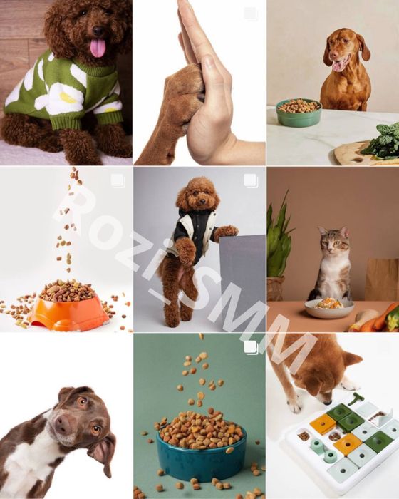 SMM-спеціаліст | Контент-мейкер | Сторіс-Мейкер | Створення візуалу