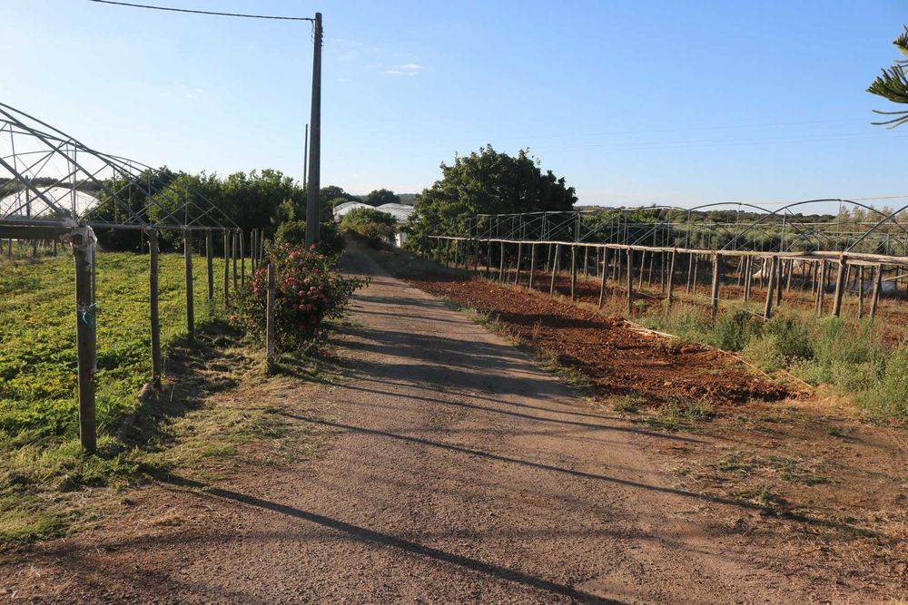 Terreno para Cultivo c/ Estufas