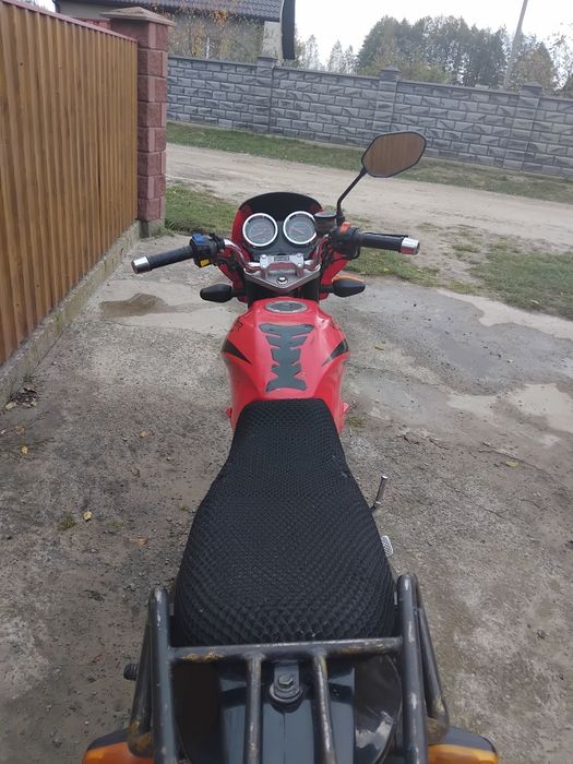 12345667900лпсиряс