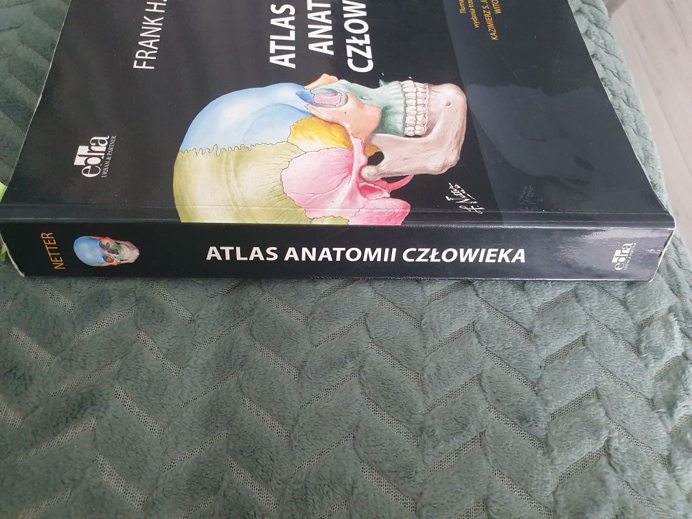 Atlas anatomii człowieka Netter