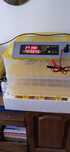Inkubator egg incubato