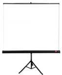 Ekran ręczny do projektora AVTek Tripod Standard 200x200cm