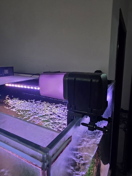 Aquario de 600 litros [fx6 menos de um ano]