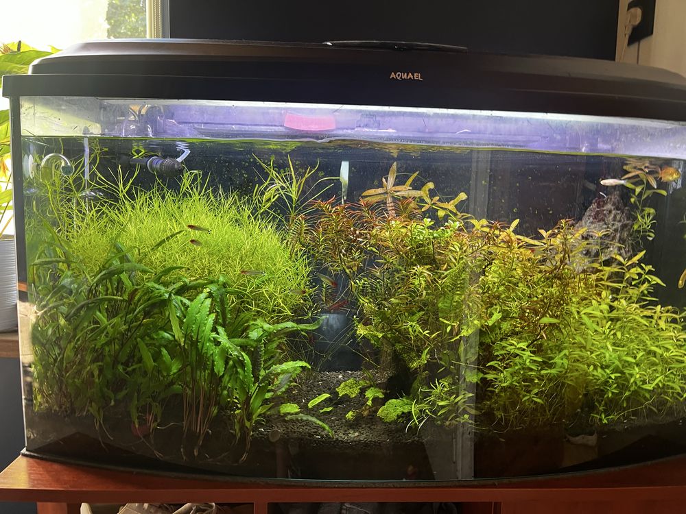 Akwarium ponad 200l z osprzetem