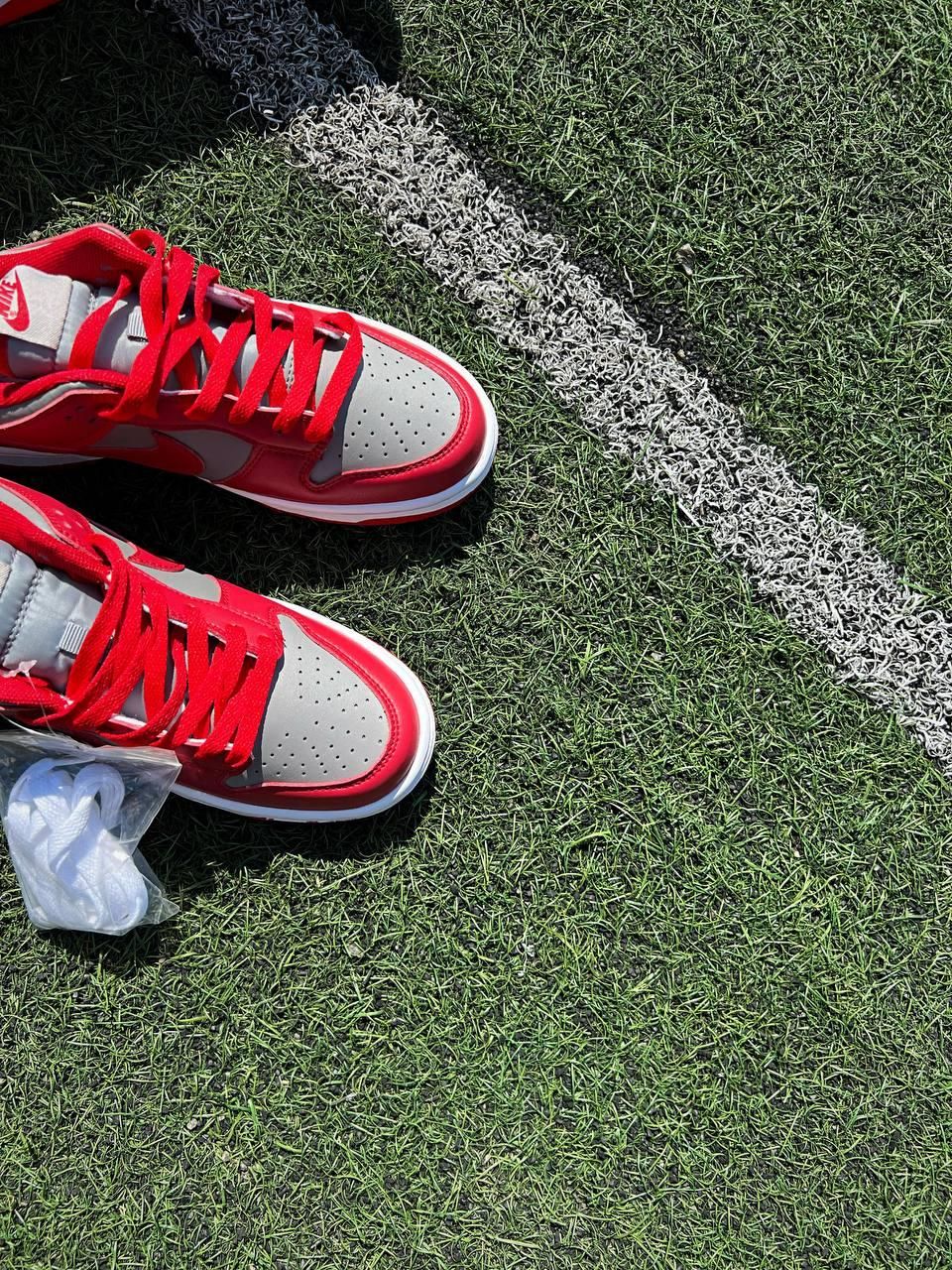 Кроссовки Nike SB Dunk Low Retro Medium Grey Red v2