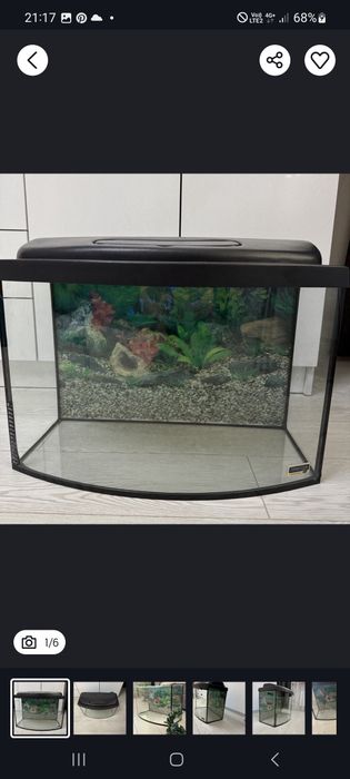 Акваріум Природа, панорамний ,на 200 літрів