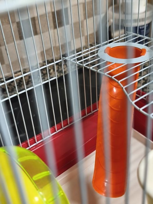 Gaiola Hamsters completa novinha