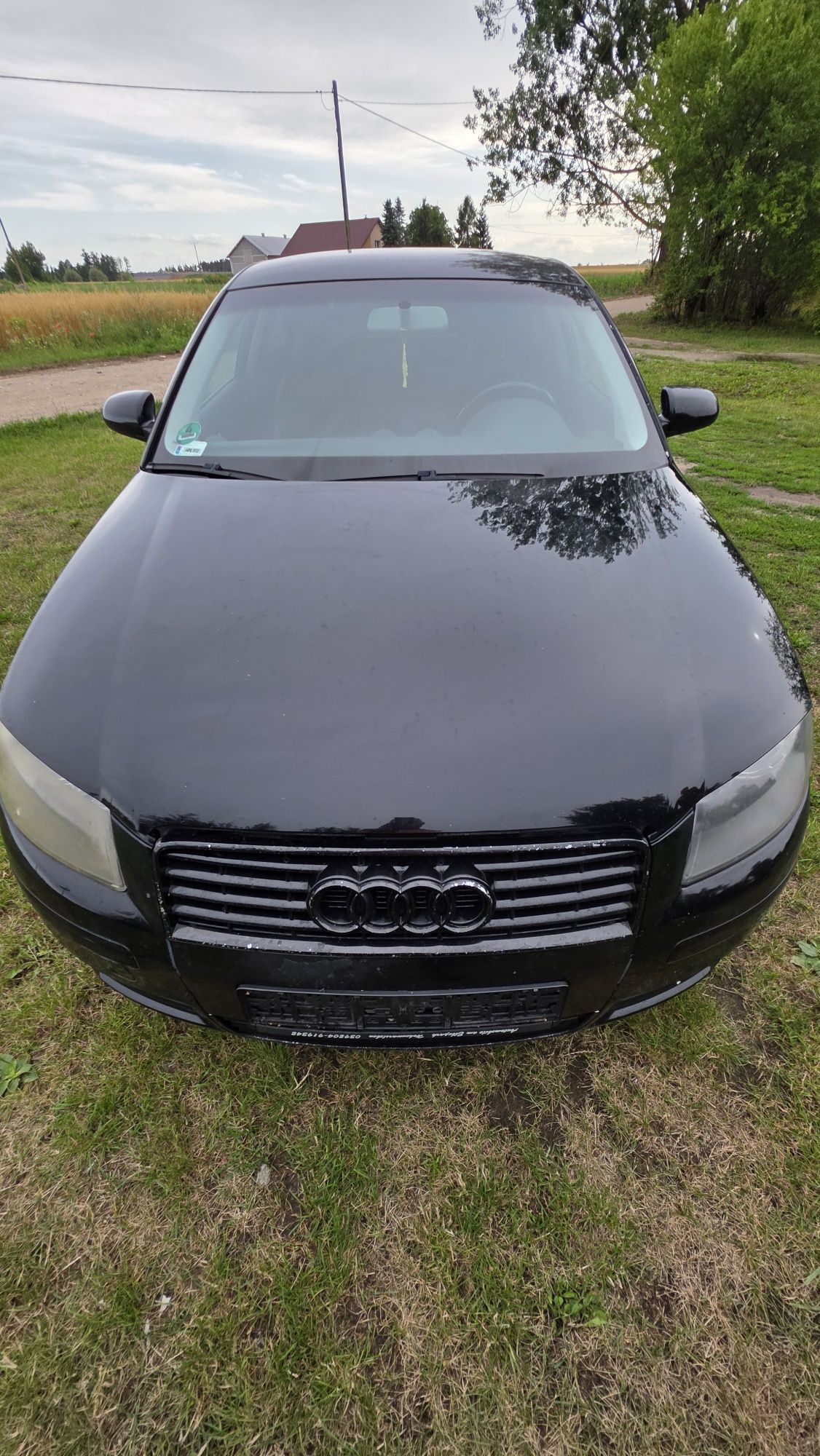 Maska Przód Audi A3 8P 2003r LY9B