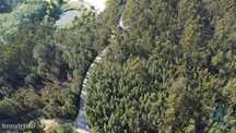 Terreno em Rio de Couros e Casal dos Bernardos de 3487,00 m2