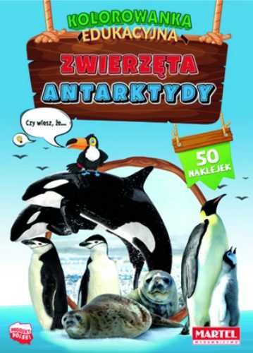 Zwierzęta Antarktydy z naklejkami. Kolorowanka edu - Hubert Włodarczy