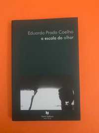 A Escala Do Olhar -  Eduardo Prado Coelho