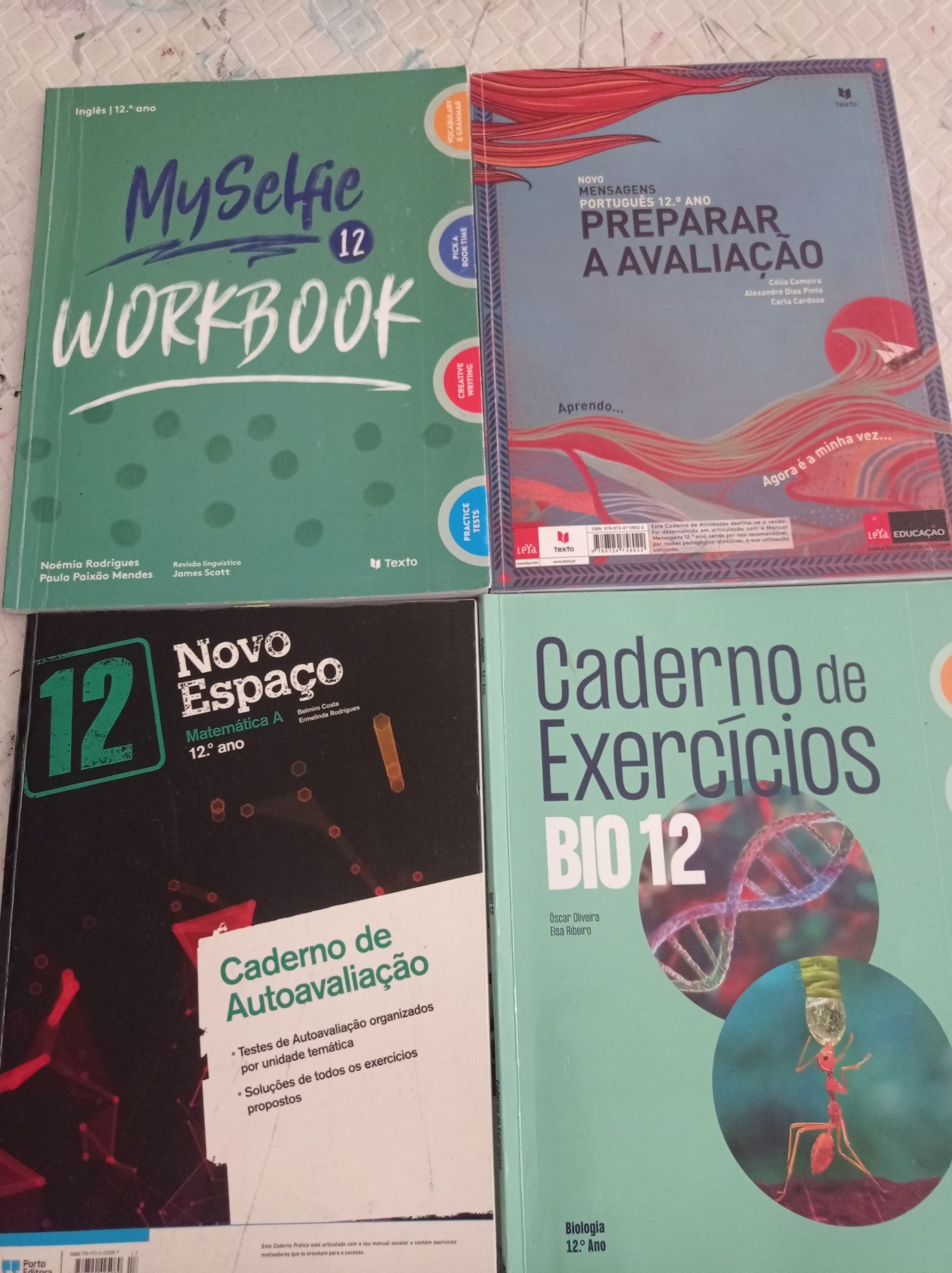 Livro exercícios 12 ano