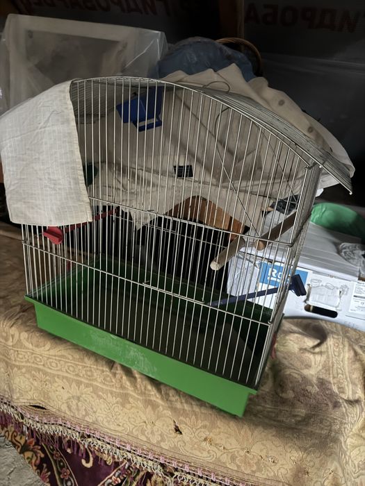 Коітка для папугая