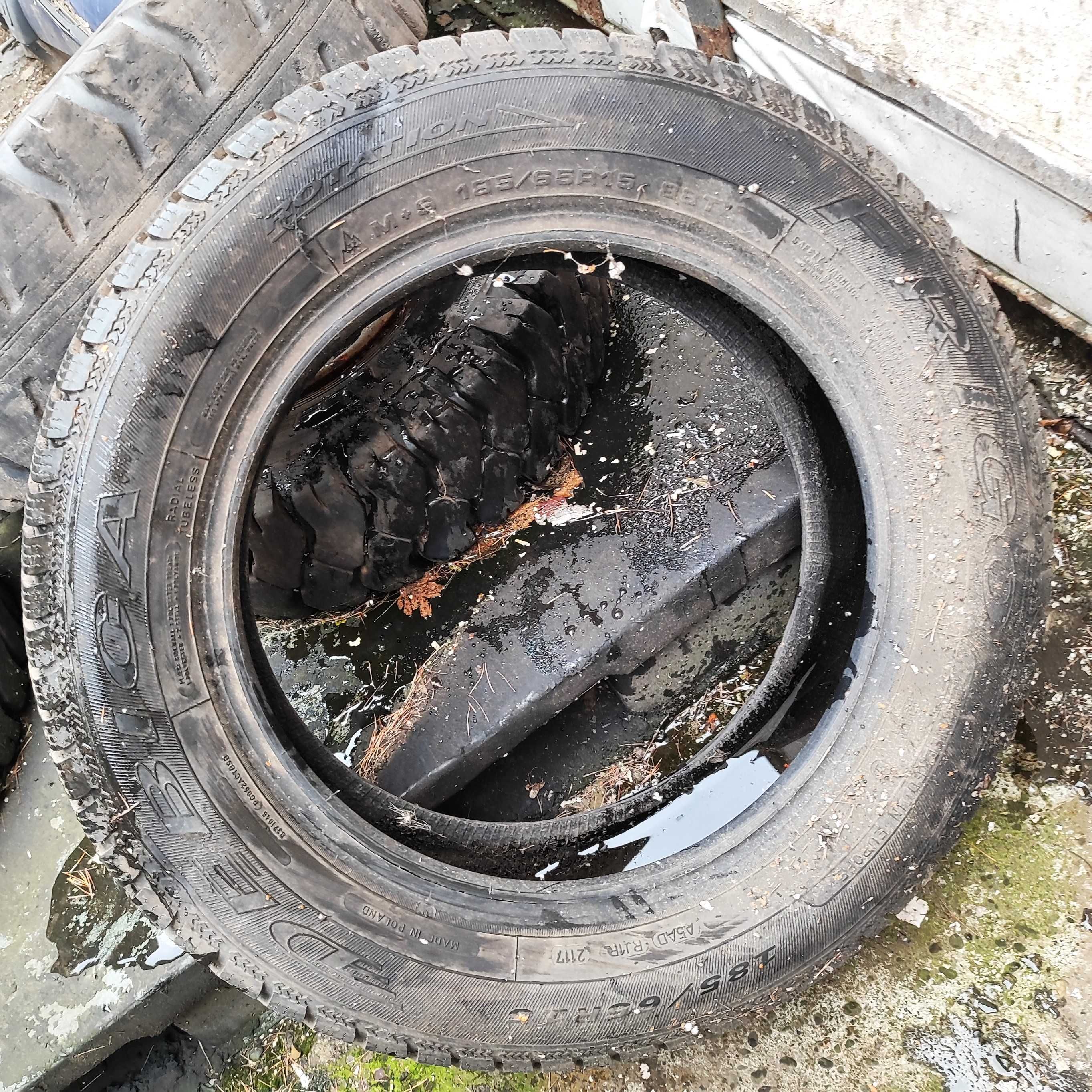 Opona zimowa Dębica Frigo 2 185/65R15 2017 r - 1 szt