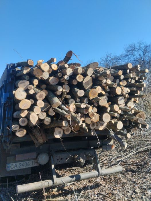 Продам дрова твёрдых/мешаных пород (рубаные,чурки, метровки,)