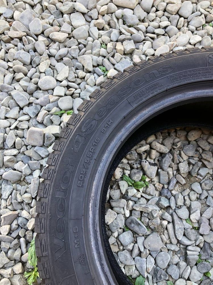 Шини 205/55 r16 Goodyear Всесезон 4 шт (664)