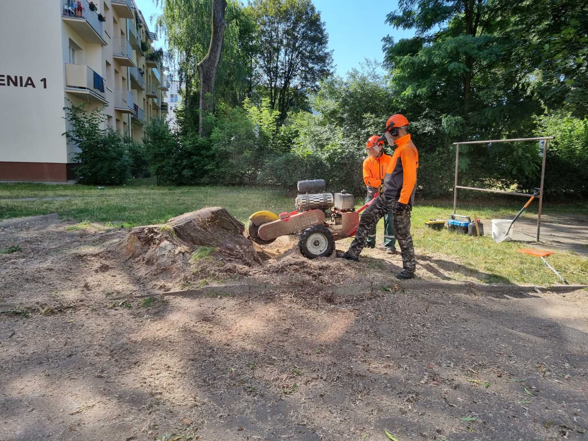 Drzewo drewno kominkowe , opałowe Pabianice Łódź Zgierz Konstantynów