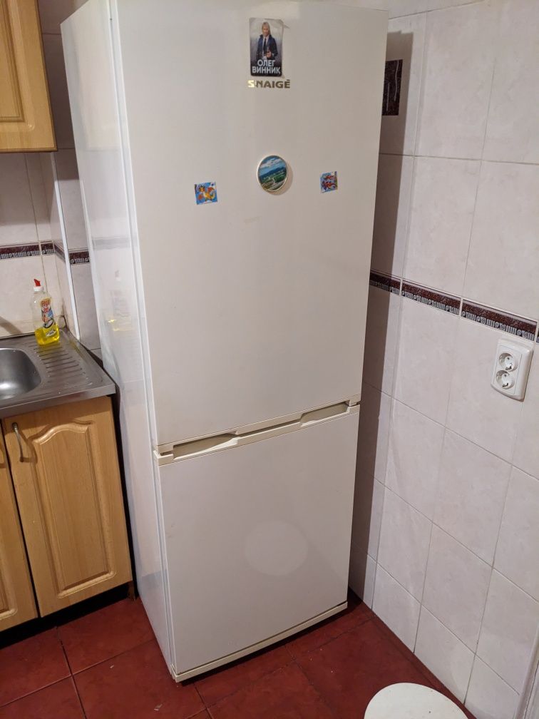 Холодильник: Snaige s10021