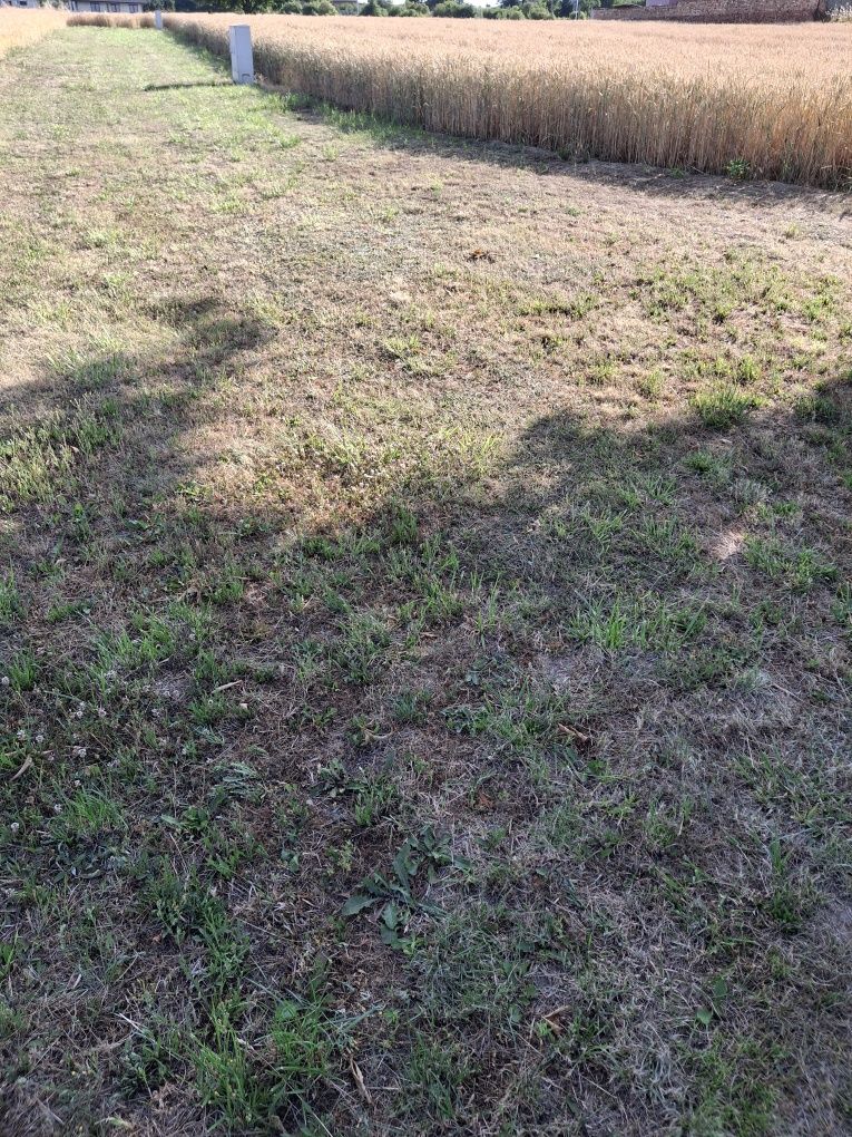 Sprzedam działkę rolno-budowlaną