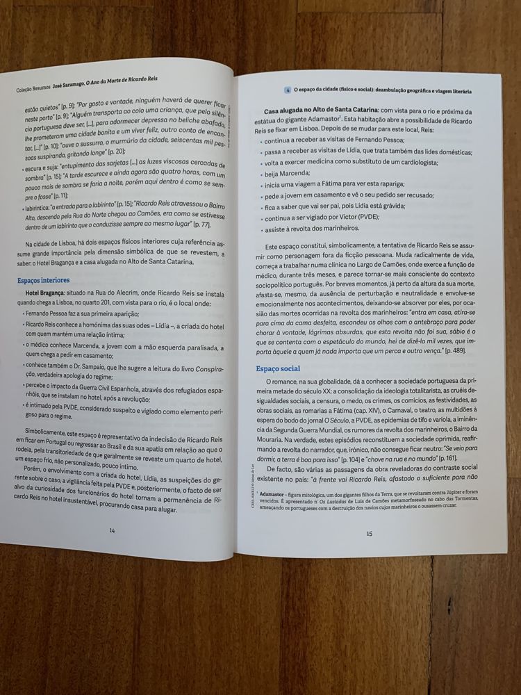 Livro auxiliar " O Ano da Morte de Ricardo Reis ”- José Saramago