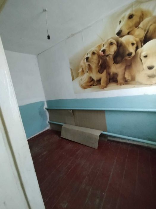 Продам будинок с. Рояківка Берестинський район