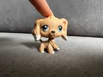 LPS spaniel #568