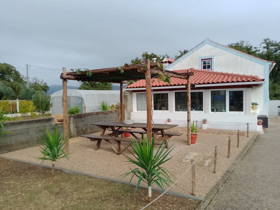 Quintinha T3 com Pomar e Furo