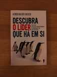 Descubra o Líder que Há em Si - Afonso Valente Batista