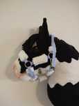 Kantar hobby horse