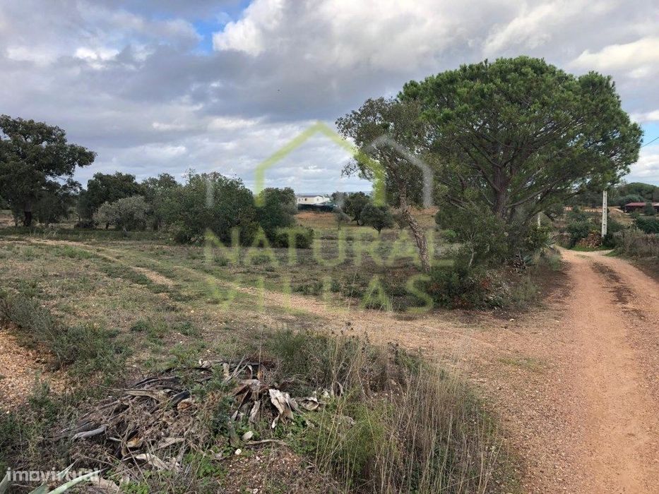 Terreno Rústico de 4.420m2 em Faxelhas, Silves
