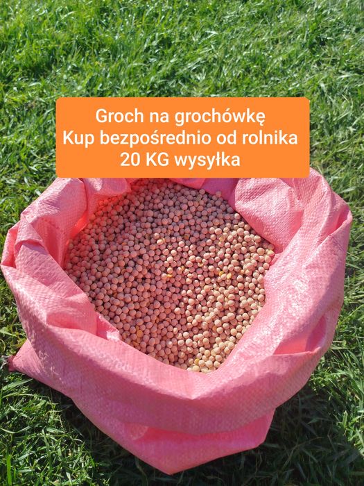 Groch na grochówkę 20 Kg bezpośrednio z Gospodarstwa Rolnego wysyłka