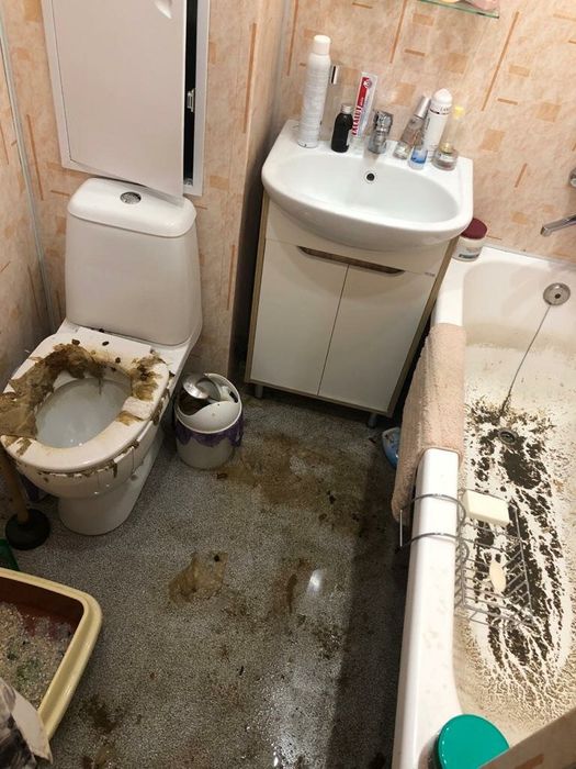 ‼️ УБОРКА ЗАПУЩЕННЫХ КВАРТИР Вывоз Мусора Дезинфекция Устранение Запах