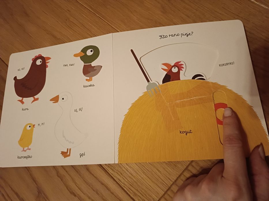 Duży zestaw książeczek dla malucha